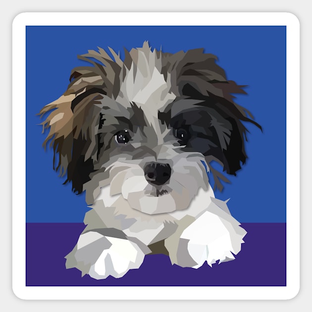 Cute Cavachon Maltese poodle mix dog Sticker by jrepkin